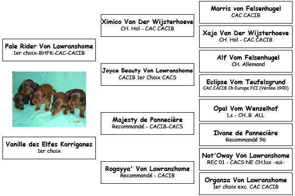 Pedigree
